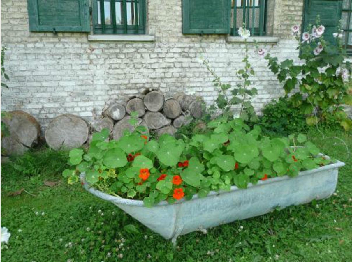 Manoir De Bois En Ardres Bed & Breakfast Exterior photo