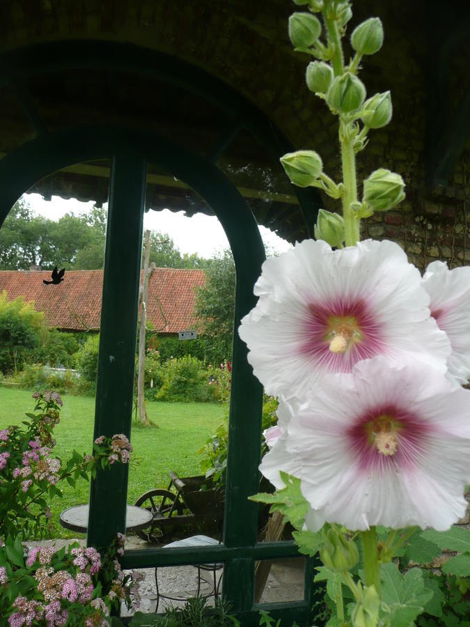Manoir De Bois En Ardres Bed & Breakfast Exterior photo